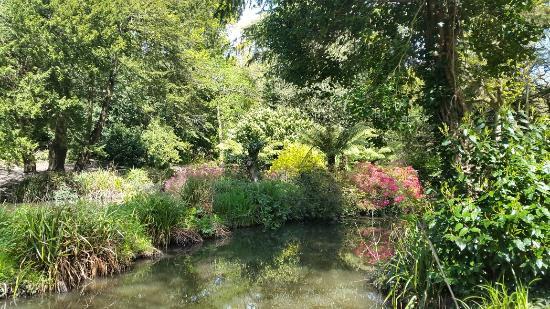 Holly Hill Woodland Park